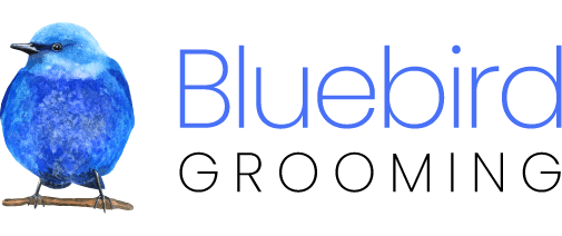 Bluebird Grooming